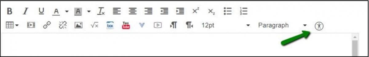 Canvas Screenshot with an arrow pointing to the accessibility checker icon