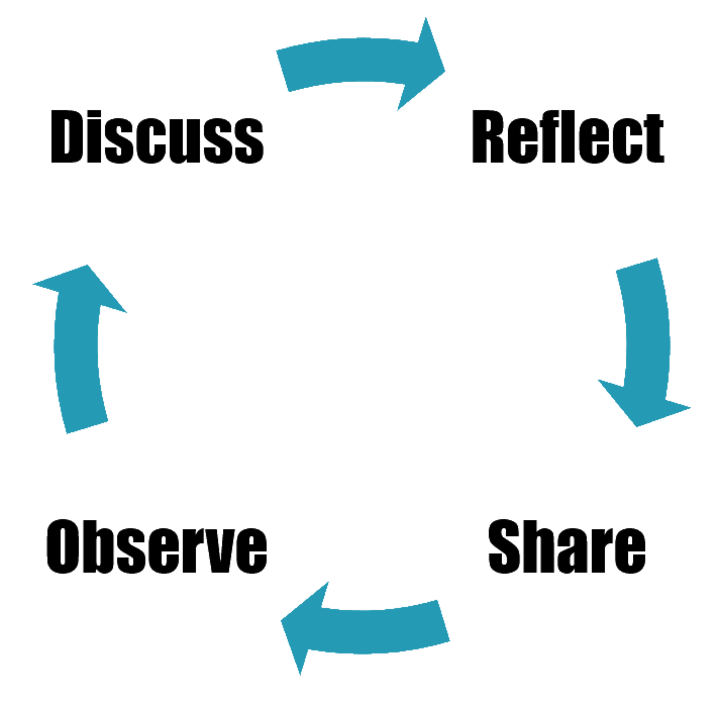 Peer observation process